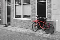 Rotes Fahrrad von Elles Rijsdijk Miniaturansicht