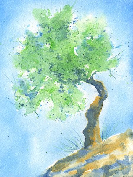 Olivenbaum Studie von Karen Kaspar