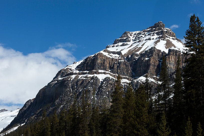 Berg in de Rocky Mountains van Irene Hoekstra
