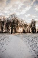 sunrise in winter