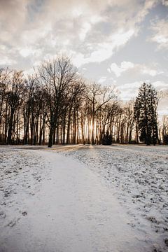 Sonnenaufgang im Winter von Chantal Osnabrugge