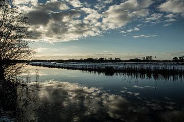 De Wieden van Robert Snoek