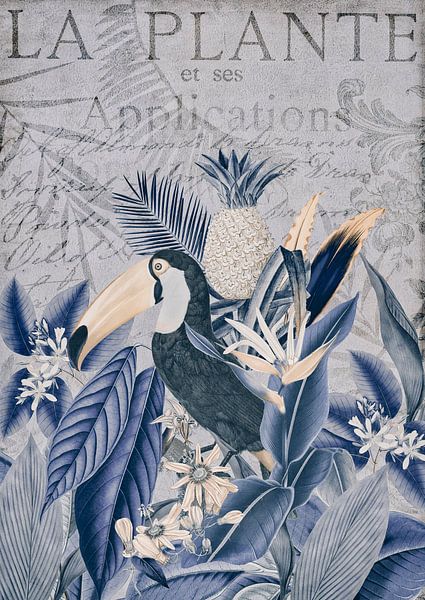 Blauwe Toekan in de Tropische Jungle van Andrea Haase