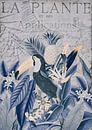 Blauwe Toekan in de Tropische Jungle van Andrea Haase thumbnail