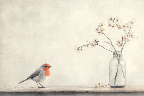 Het roodborstje en de bloesem