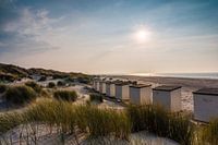 Beach huts on the beach of Renesse