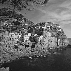 Ansicht von Manarola, Cinque Terre in Italien von Jasper van de Gein Photography