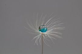 waterdruppel van Nokkie Muntajit