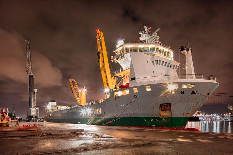 scène van de nacht met een afgemeerd schip met verlichte kade, Antwerpen van Tony Vingerhoets