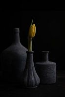 Gele tulp in grijze vaas