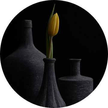 Gele tulp in grijze vaas