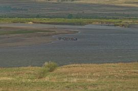 meer met wilde paarden von Robert Lotman