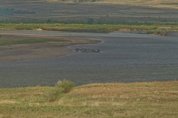 meer met wilde paarden van Robert Lotman