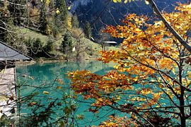 Herfstpracht Hintersee van Gerlinde Roebersen