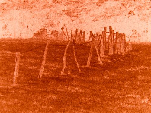 Dansend hek in roestbruine tint