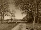 De vallei trein bij de goudsberg van Veluws thumbnail