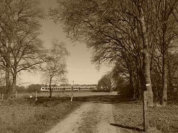 De vallei trein bij de goudsberg