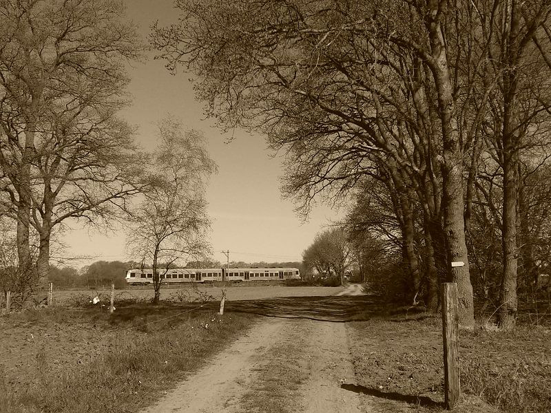 De vallei trein bij de goudsberg van Veluws