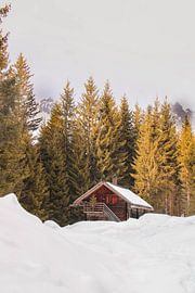 Versteckt in den Bergen von Fiene Sars