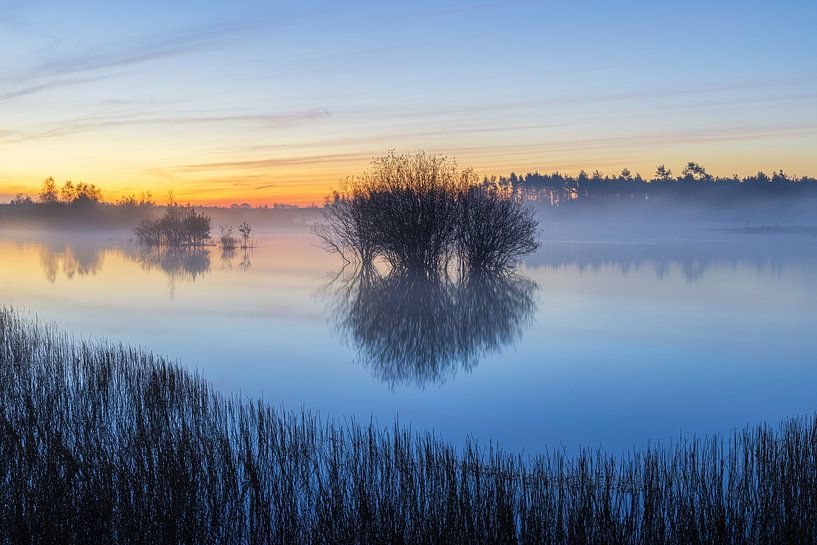 Sunrise Dwingelderveld - The Netherlands (Drenthe) by Marcel Kerdijk