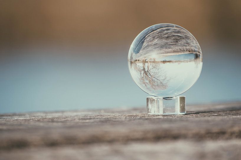 Nature photos by Laurien Brichau