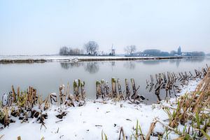 Molen De Korenbloem sur Moetwil en van Dijk - Fotografie