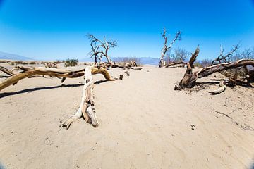 Vergane glorie in Death Valley van De wereld door de ogen van Hictures