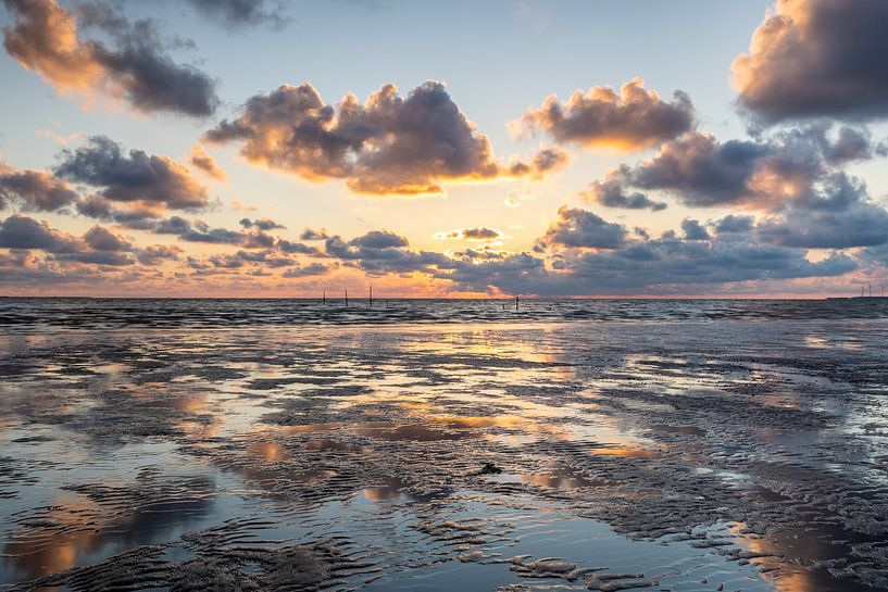 Reflection by Eddy Reynecke