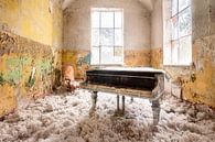 Verlassenes Klavier mit Wolle. von Roman Robroek – Fotos verlassener Gebäude Miniaturansicht