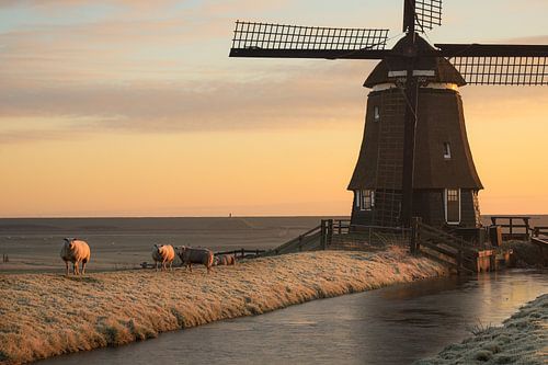 Echt Hollands winter plaatje van Eefje John