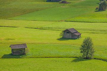 Alpine pasture with hay barn by Torsten Krüger