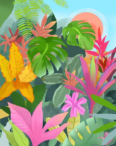 Tropische Zonsopgang