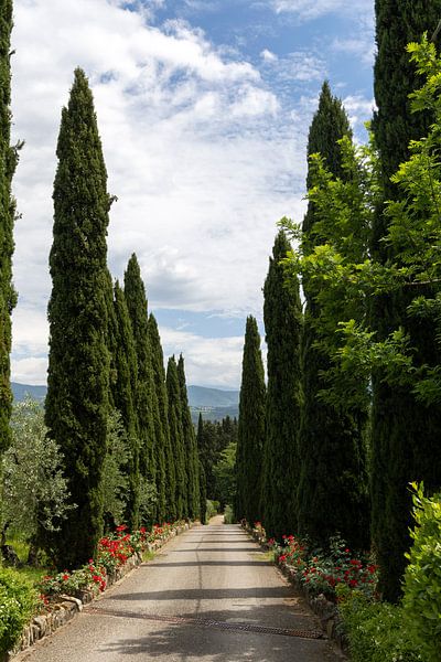 Cypress Avenue by Jolanda van Eek en Ron de Jong