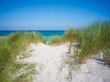 Darß - Weststrand, Oostzee (Mecklenburg-Vorpommern) van t.ART