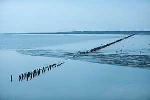 Waddenzee, Nederland