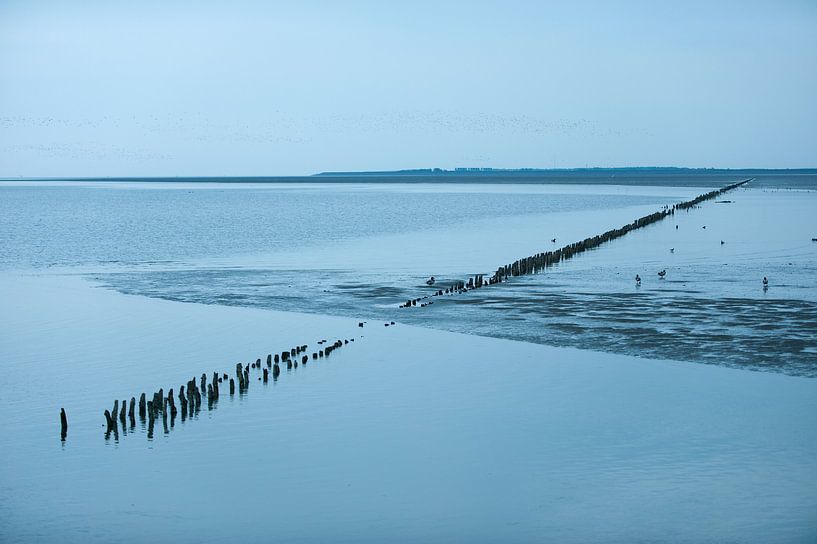 Wattenmeer, Niederlande von Remke Spijkers