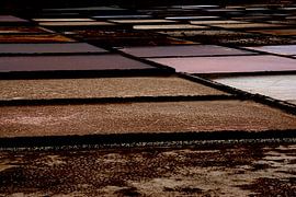 SALZFELDER 1 von Miroslav Ptacek