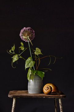 Still life with striped vase and snail shell.
