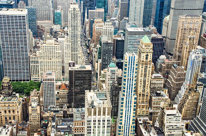 Stadsjungle New York City by Karin Mooren