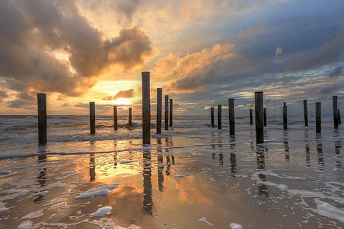 palm village beach Petten at sunset