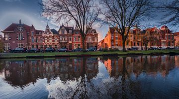 Nieuwlandersingel van peterheinspictures