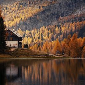 Croda d Lago Dolomieten Italië