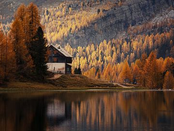 Croda d Lago Dolomites Italy