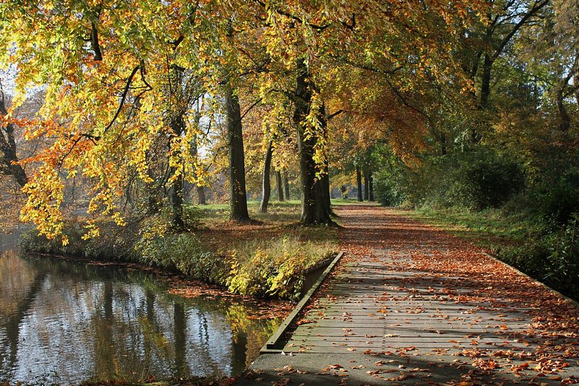 Autumn by Paulien Hemelaar