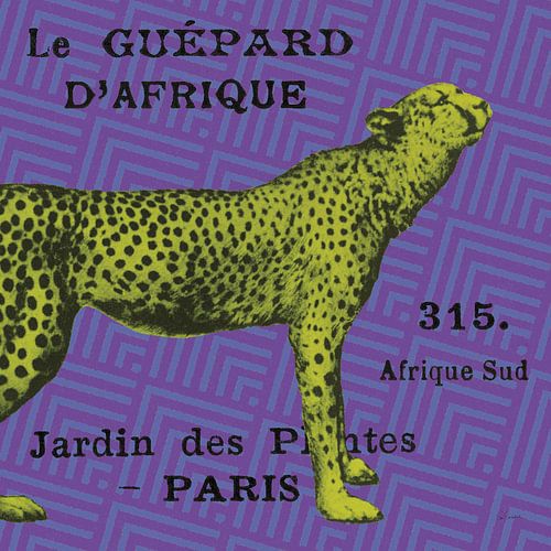 Bright Safari Leopard, Sue Schlabach by Wild Apple