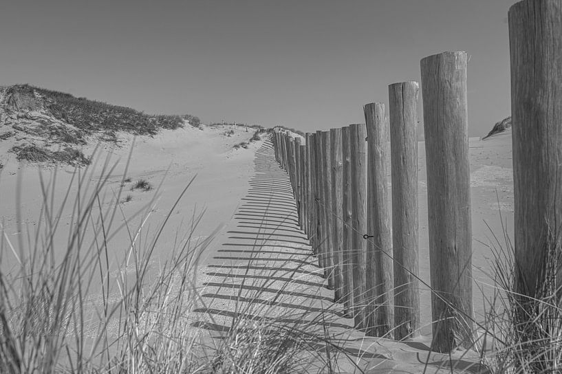 Kennemerduinen, North Holland by Peter Bartelings