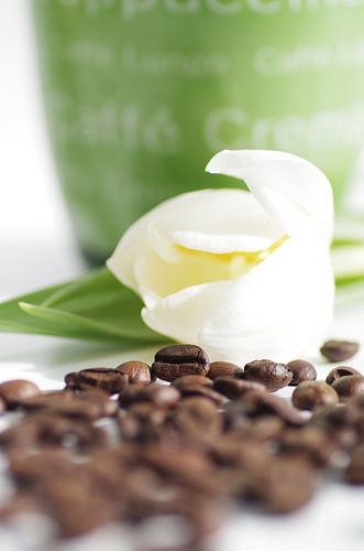 Feinster Kaffee Genuss