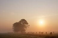 Dutch polder landscape II by Mark Leeman thumbnail