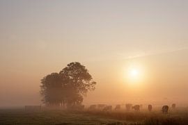 Dutch polder landscape II by Mark Leeman