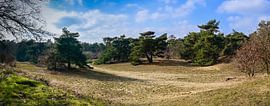 Panorama Boshuizerbergen: Winter tranquillity near Venray by Kristof Leffelaer